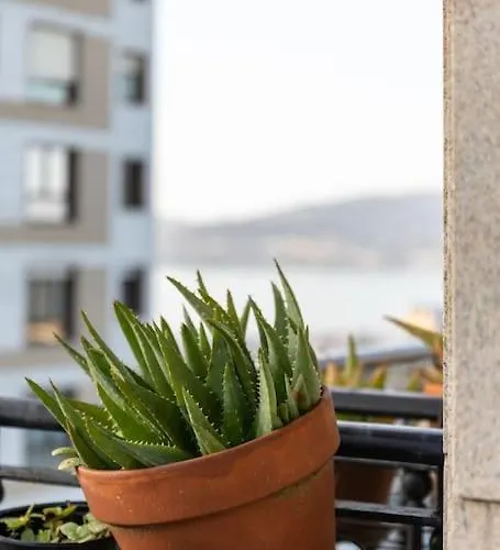 Bonito Piso Con Vistas, Centrico, Acogedor Vigo